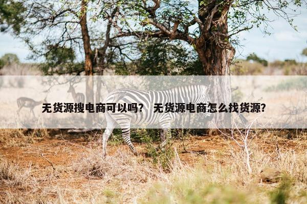 无货源搜电商可以吗？ 无货源电商怎么找货源？