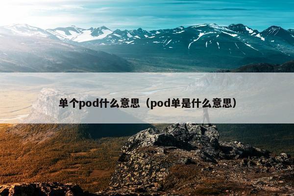 单个pod什么意思（pod单是什么意思）