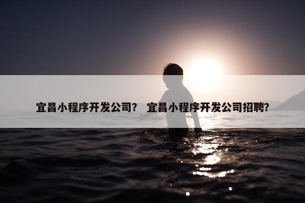宜昌小程序开发公司？ 宜昌小程序开发公司招聘？