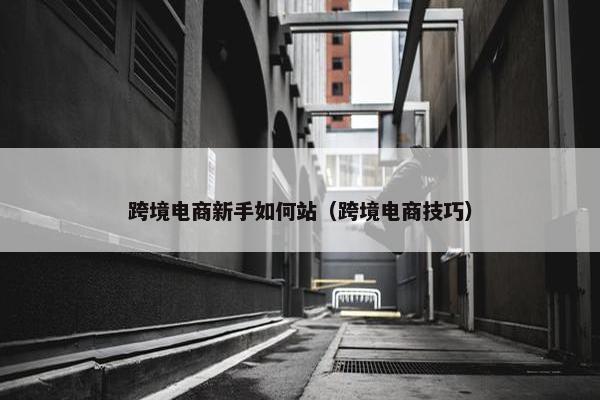 跨境电商新手如何站（跨境电商技巧）