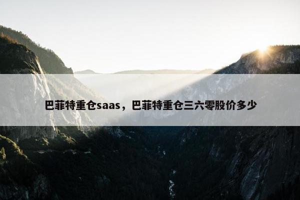 巴菲特重仓saas，巴菲特重仓三六零股价多少