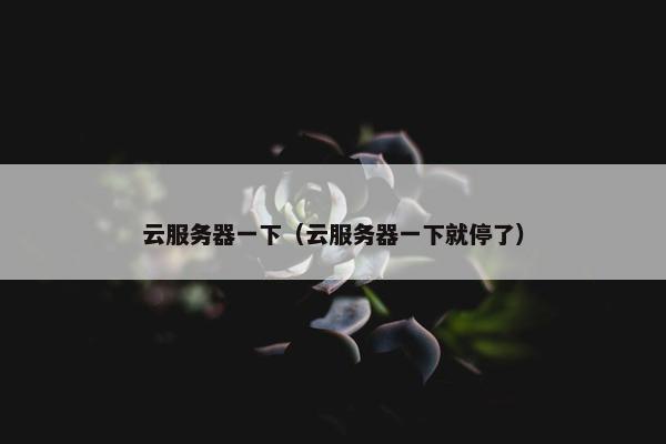 云服务器一下（云服务器一下就停了）