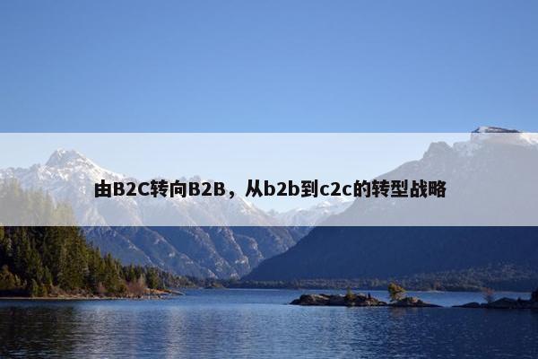 由B2C转向B2B，从b2b到c2c的转型战略