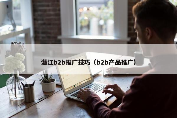 潜江b2b推广技巧（b2b产品推广）