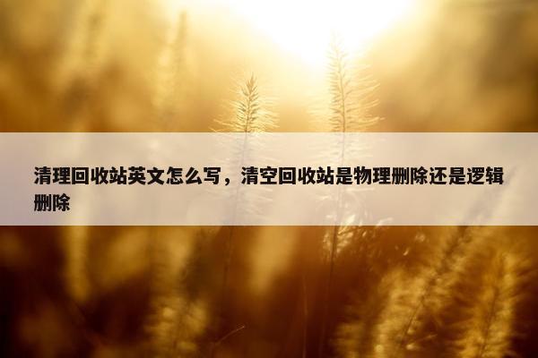 清理回收站英文怎么写，清空回收站是物理删除还是逻辑删除