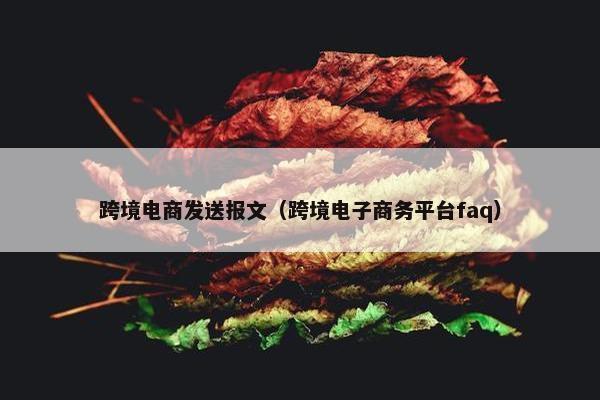 跨境电商发送报文（跨境电子商务平台faq）