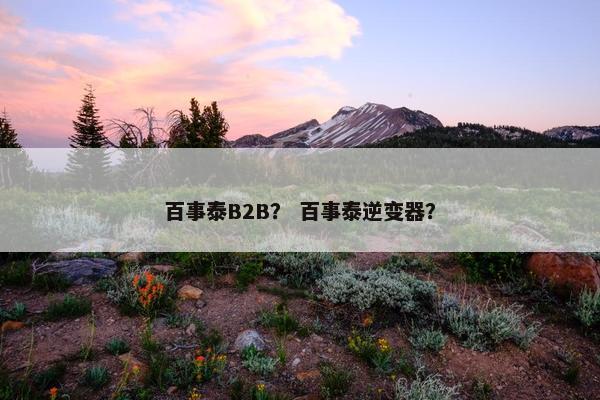 百事泰B2B？ 百事泰逆变器？