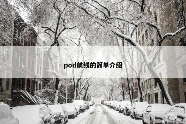 pod航线的简单介绍