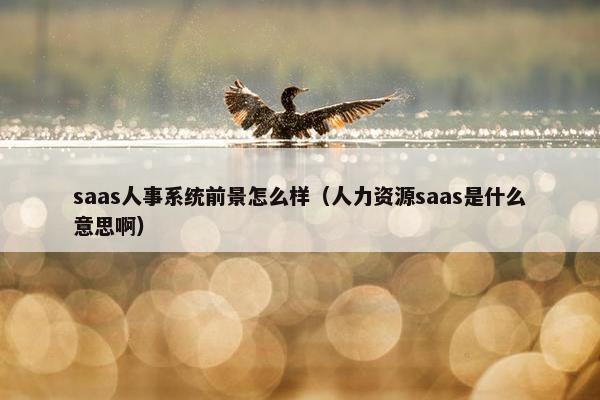 saas人事系统前景怎么样（人力资源saas是什么意思啊）