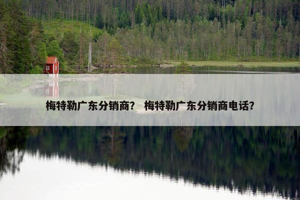 梅特勒广东分销商？ 梅特勒广东分销商电话？