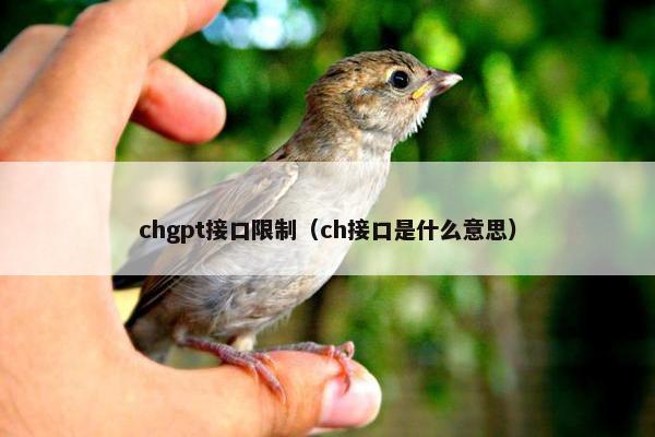 chgpt接口限制（ch接口是什么意思）