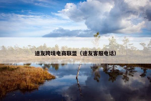 途友跨境电商联盟（途友客服电话）