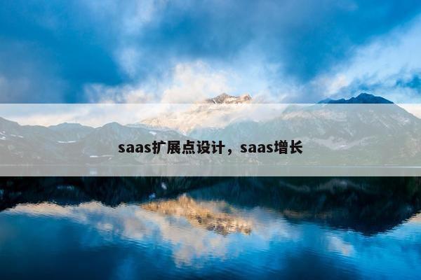 saas扩展点设计，saas增长
