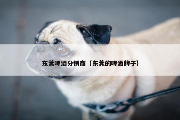 东莞啤酒分销商（东莞的啤酒牌子）