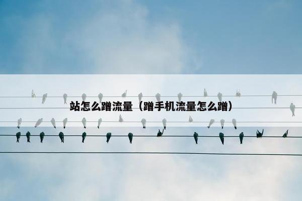 站怎么蹭流量（蹭手机流量怎么蹭）