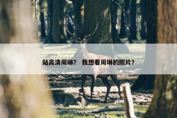 站高清周琳？ 我想看周琳的照片？