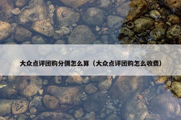 大众点评团购分佣怎么算（大众点评团购怎么收费）
