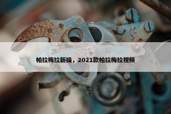 帕拉梅拉新操，2021款帕拉梅拉视频