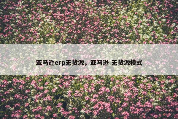 亚马逊erp无货源，亚马逊 无货源模式