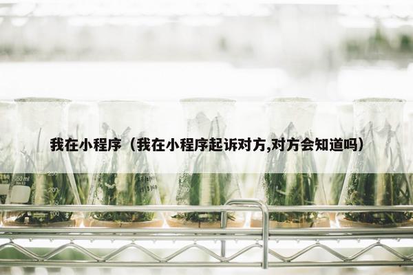 我在小程序（我在小程序起诉对方,对方会知道吗）