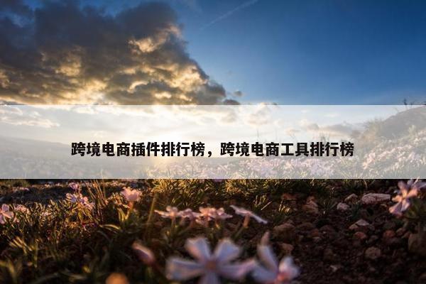 跨境电商插件排行榜，跨境电商工具排行榜