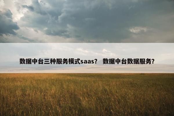 数据中台三种服务模式saas？ 数据中台数据服务？