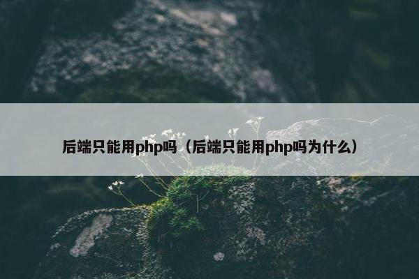 后端只能用php吗（后端只能用php吗为什么）