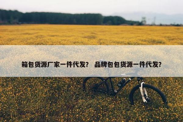 箱包货源厂家一件代发？ 品牌包包货源一件代发？