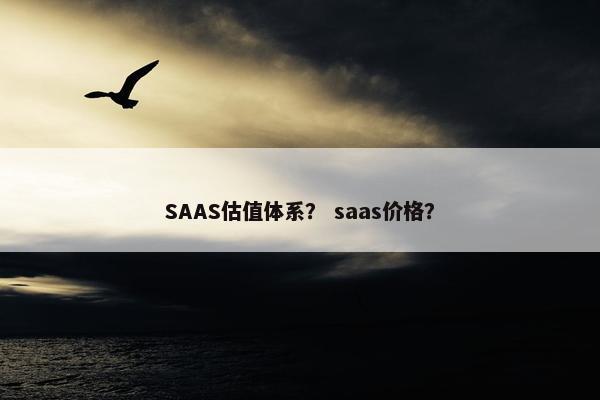 SAAS估值体系？ saas价格？