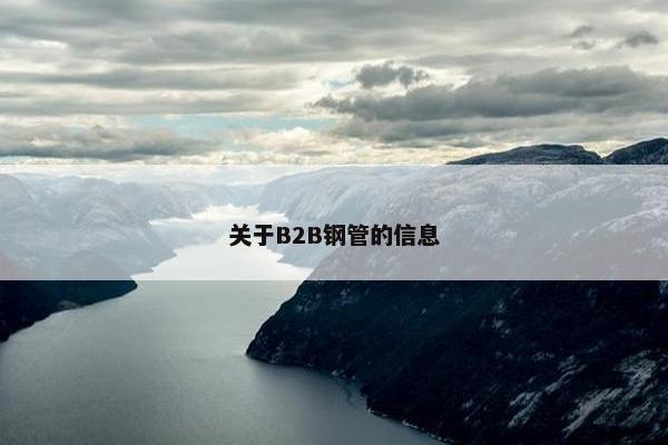 关于B2B钢管的信息