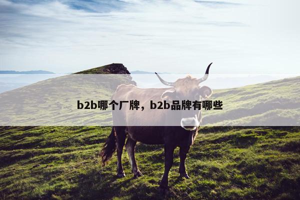 b2b哪个厂牌，b2b品牌有哪些