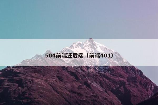 504前端还后端（前端401）