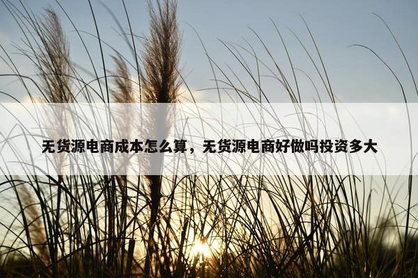 无货源电商成本怎么算，无货源电商好做吗投资多大