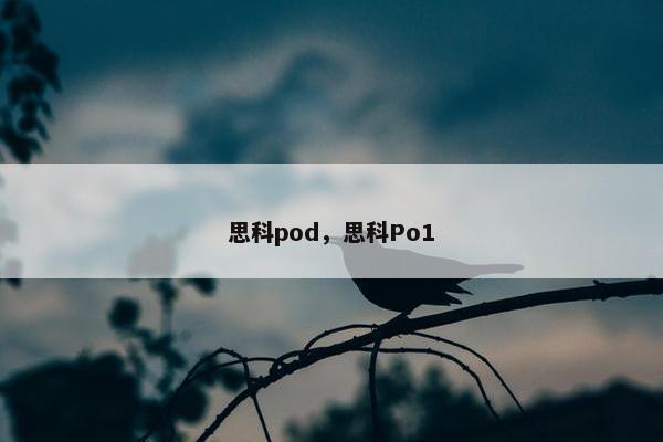 思科pod，思科Po1
