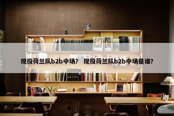 现役荷兰队b2b中场？ 现役荷兰队b2b中场是谁？