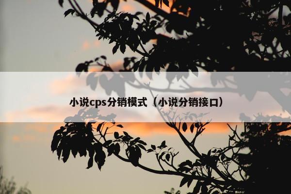 小说cps分销模式（小说分销接口）