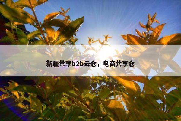 新疆共享b2b云仓，电商共享仓