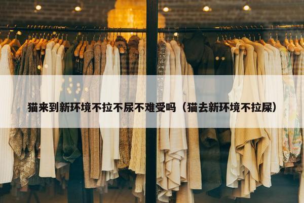 猫来到新环境不拉不尿不难受吗（猫去新环境不拉屎）