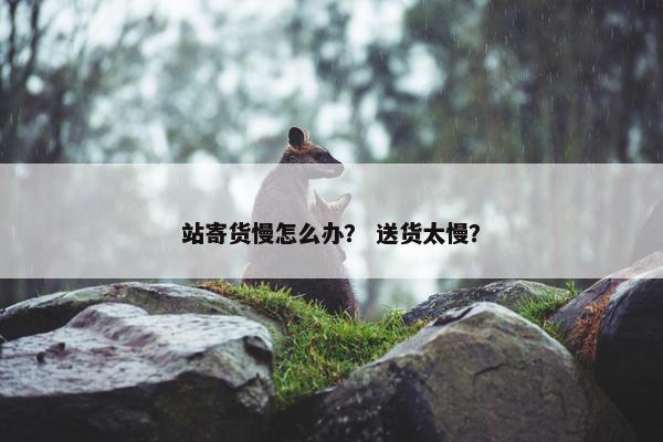 站寄货慢怎么办？ 送货太慢？