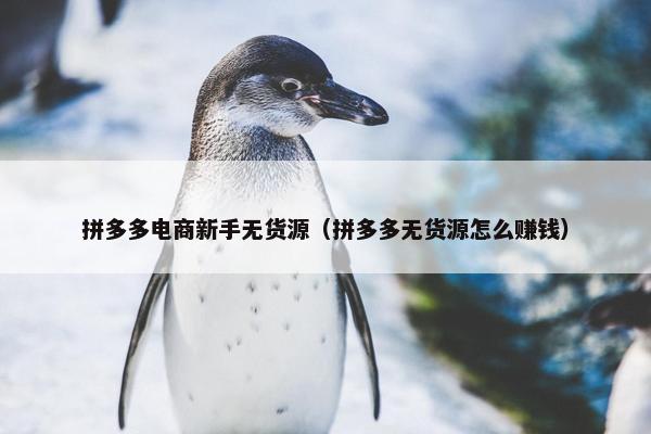 拼多多电商新手无货源（拼多多无货源怎么赚钱）