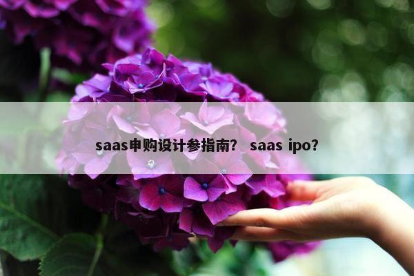 saas申购设计参指南？ saas ipo？