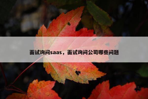 面试询问saas，面试询问公司哪些问题