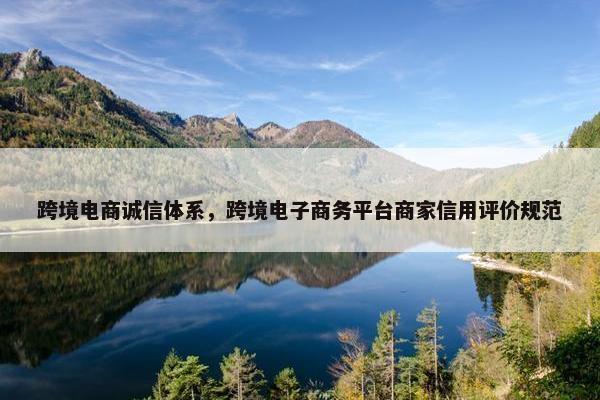 跨境电商诚信体系，跨境电子商务平台商家信用评价规范