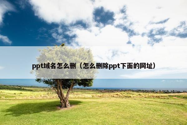 ppt域名怎么删（怎么删除ppt下面的网址）