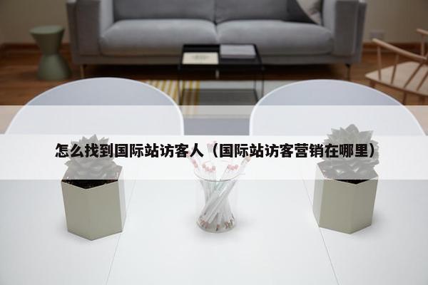 怎么找到国际站访客人（国际站访客营销在哪里）