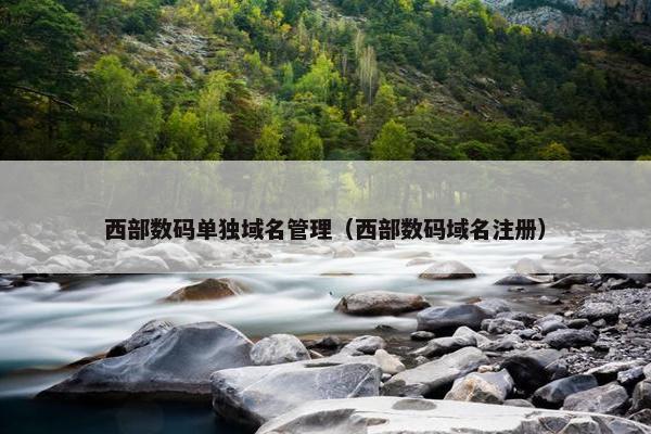 西部数码单独域名管理（西部数码域名注册）
