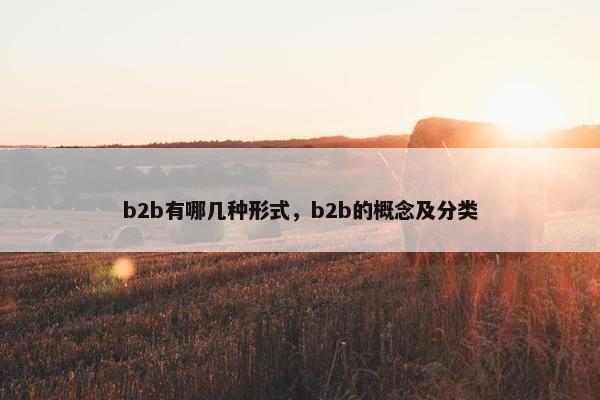 b2b有哪几种形式，b2b的概念及分类