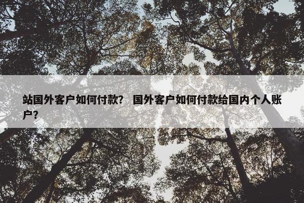 站国外客户如何付款？ 国外客户如何付款给国内个人账户？