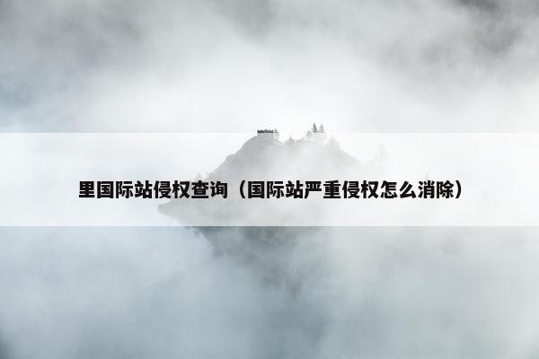 里国际站侵权查询（国际站严重侵权怎么消除）