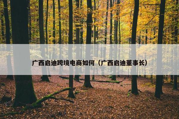 广西启迪跨境电商如何（广西启迪董事长）